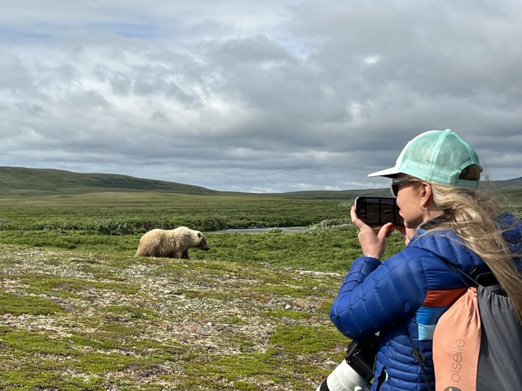 Taken a Photo of a Bear