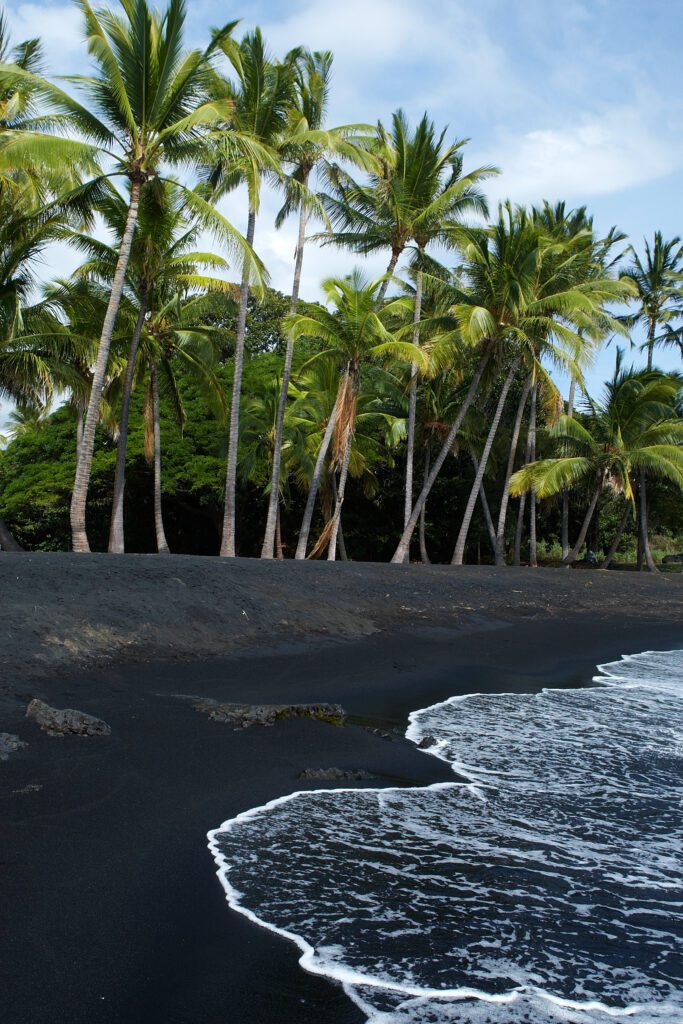 Hawaiian Black Sand Beach